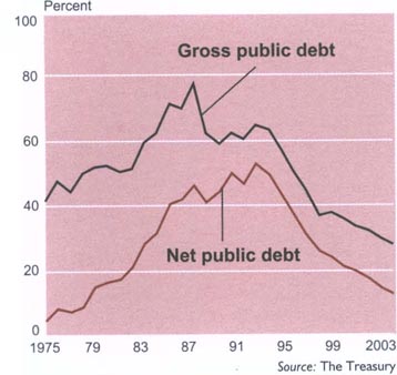 Public debt