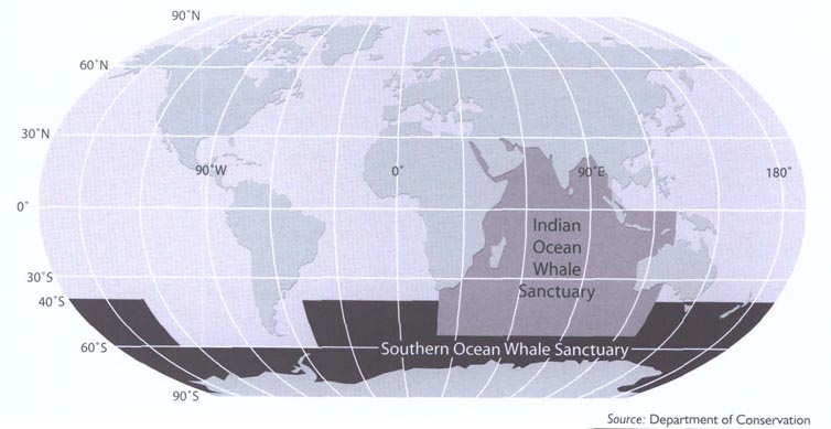 Whale sanctuaries